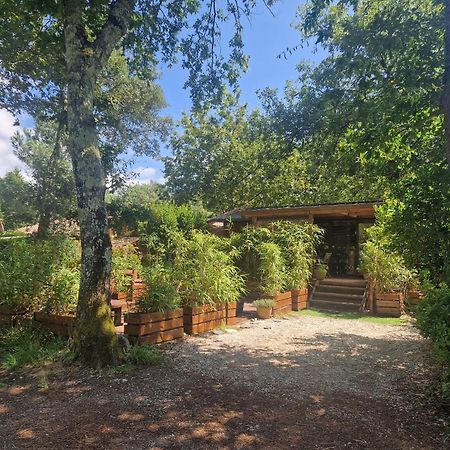 Chalet 2020 Camping 4 Etoiles Bassin D'Arcachon La Teste Exterior foto